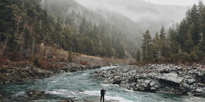 为啥大家都在学技术